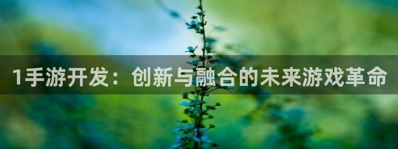 巅峰国际登录：1手游开发：创新与融合的未来游戏革命