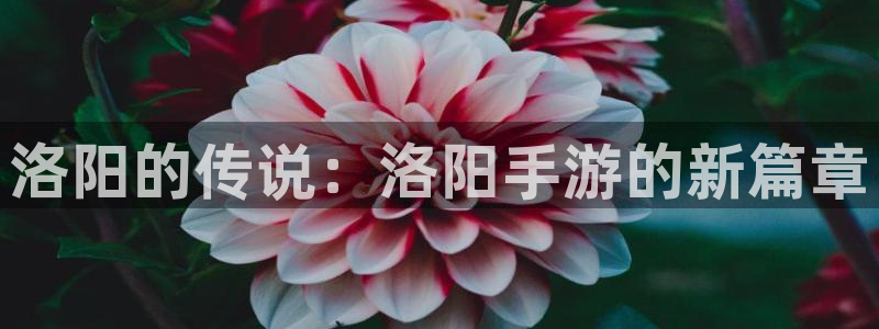 巅峰国际：洛阳的传说：洛阳手游的新篇章