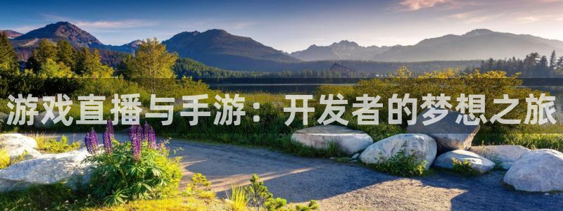 巅峰国际：游戏直播与手游：开发者的梦想之旅