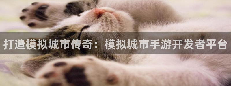 巅峰国际下载：打造模拟城市传奇：模拟城市手游开发者平台