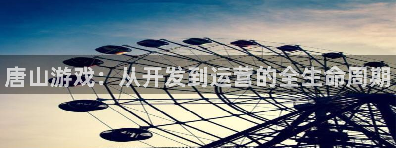 巅峰国际官网：唐山游戏：从开发到运营的全生命周期