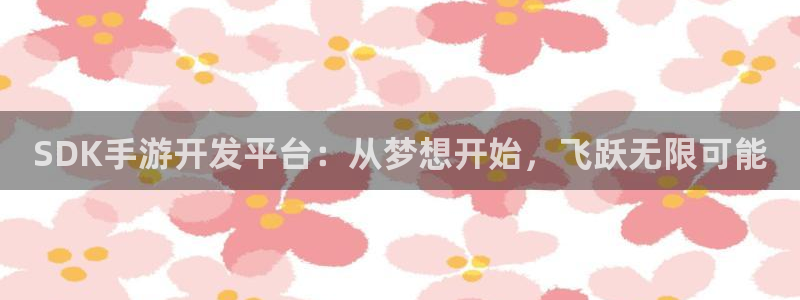 巅峰国际登录：SDK手游开发平台：从梦想开始，飞跃无限可能