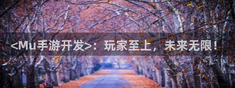 巅峰国际平台：<Mu手游开发>：玩家至上，未来无限！