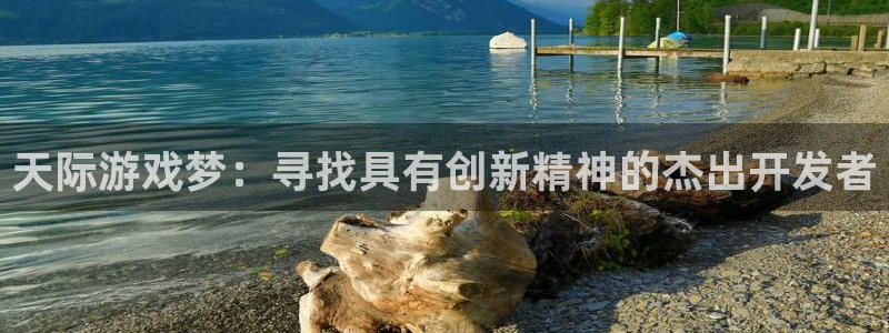 巅峰国际平台：天际游戏梦：寻找具有创新精神的杰出开发者