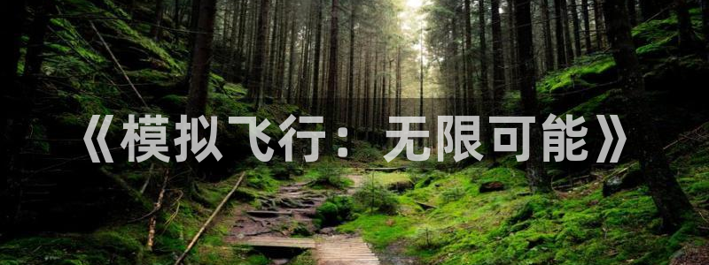 巅峰国际注册：《模拟飞行：无限可能》
