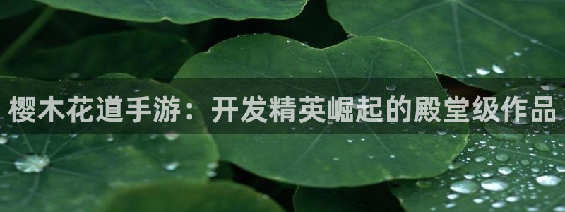巅峰国际下载：樱木花道手游：开发精英崛起的殿堂级作品