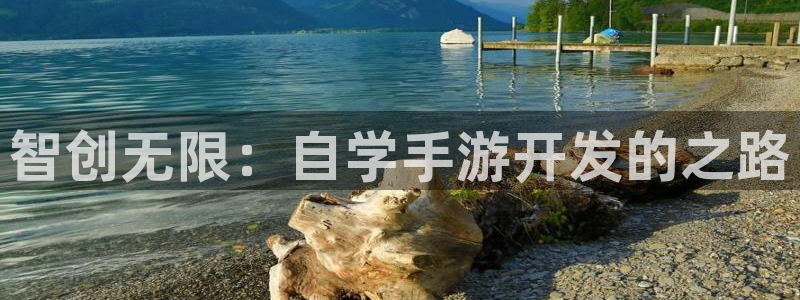 巅峰国际app：智创无限：自学手游开发的之路