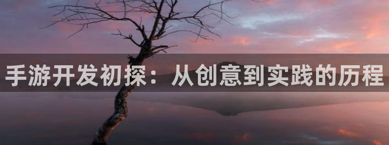 巅峰国际登录：手游开发初探：从创意到实践的历程