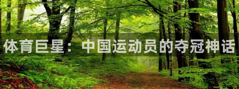 vsport体育在线官网