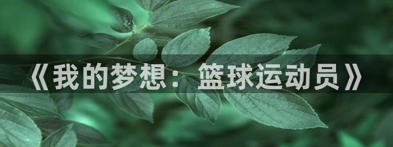 vsport体育在线官网