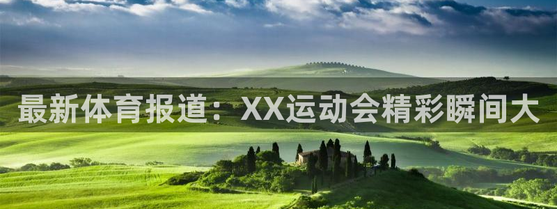 vsport体育：最新体育报道：XX运动会精彩瞬间大