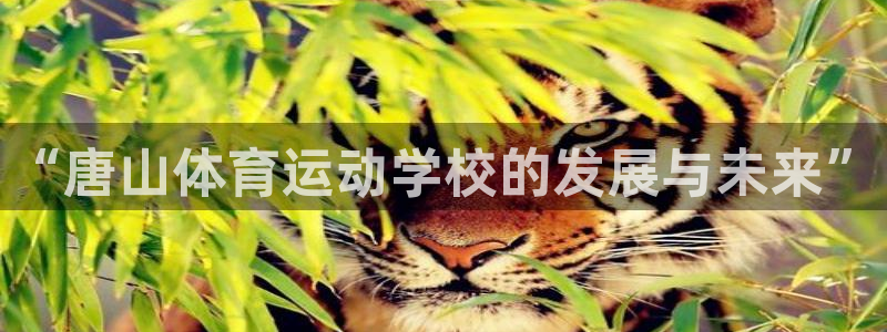 vsport体育在线官网：“唐山体育运动学校的发展与未来”