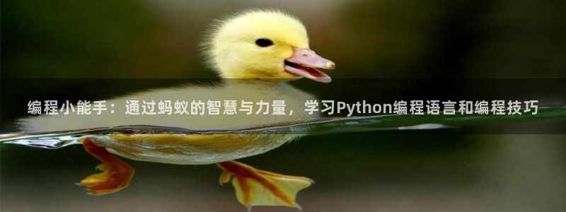 vsport体育在线官网