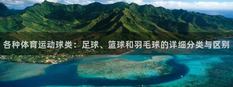vsport体育在线官网：各种体育运动球类：足球、篮球和羽毛球的详细分类与区别